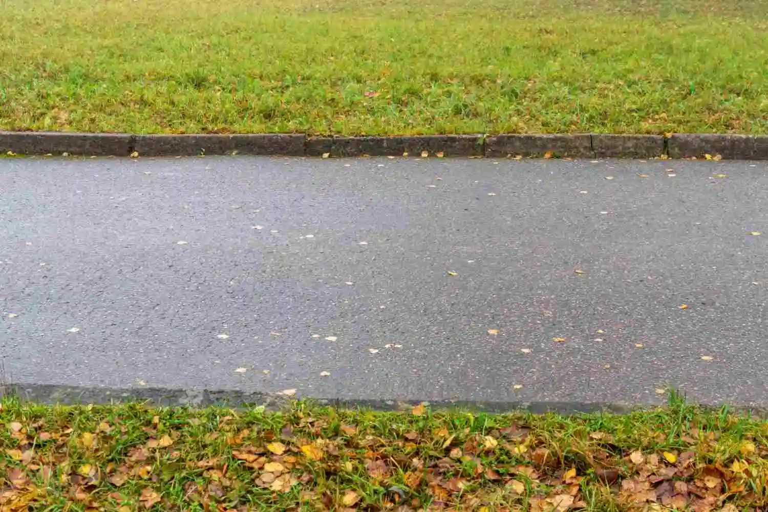 Smooth paved walkway next to grass illustrating what is concrete made of for durable outdoor paths.