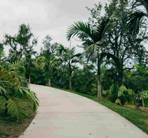 Concrete Walkway Services